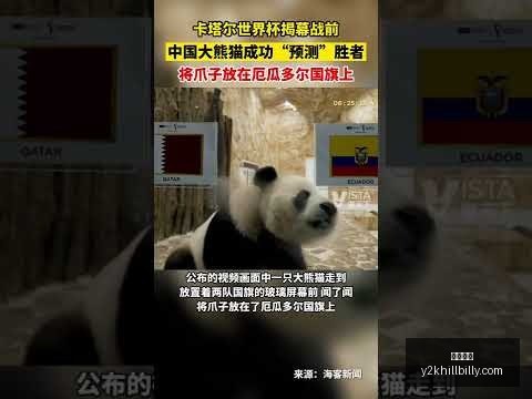 郑州至阿什,哈巴德国际,道路运输通,开云体育官网,开云体育App,开云赛事直播,开云体育娱乐,开云平台入口